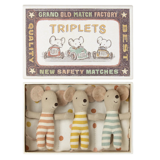 Triplets Baby mice in matchbox