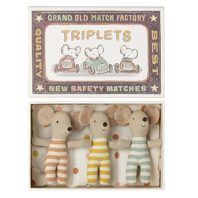 Triplets Baby mice in matchbox