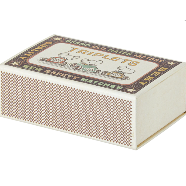 Triplets Baby mice in matchbox