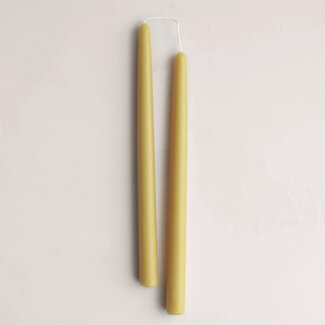 Beeswax Pair of 12" Taper Candles Olive