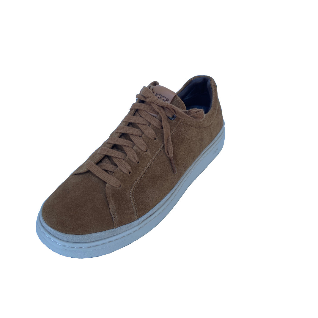 ugg cali trainer low