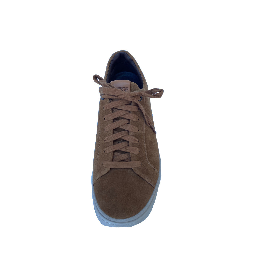 ugg cali trainer low