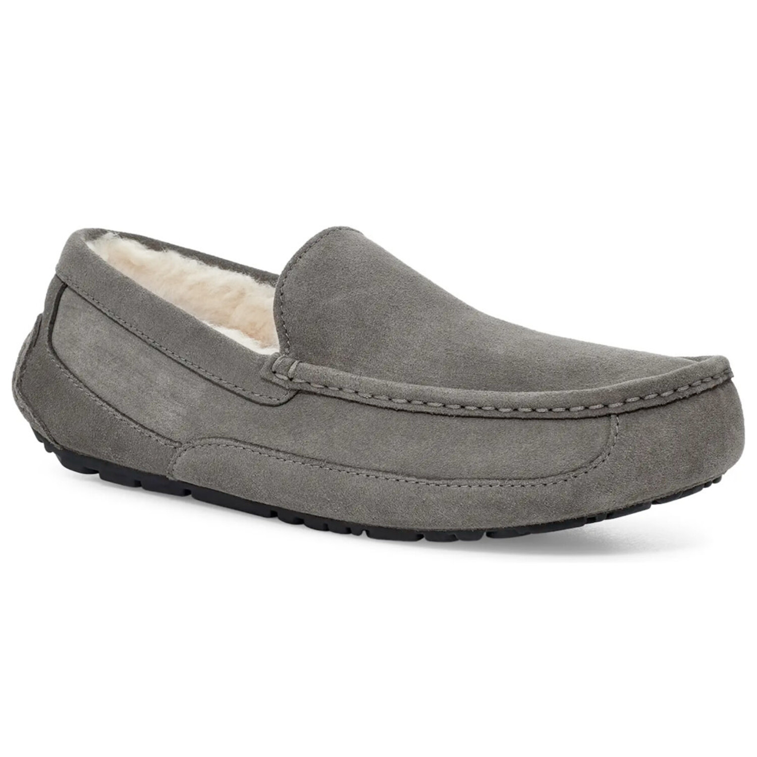 Ugg Ascot House Shoe - CK Collection Men