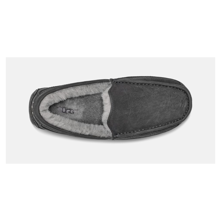 UGG Ugg Ascot House Shoe