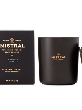 Mistral Mistral Candle