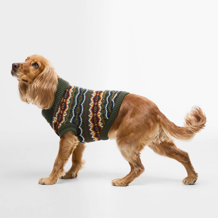 Barbour Barbour Case Fair Isle Dog Gift