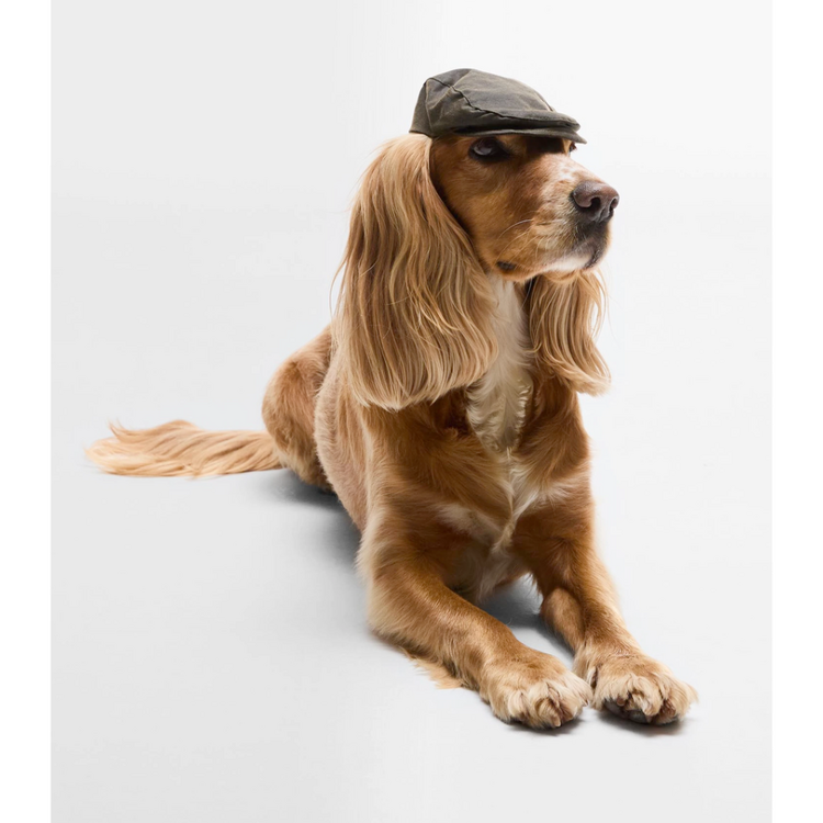 Barbour Barbour Dog Wax Flat Cap
