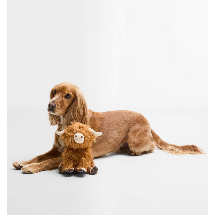 Barbour Barbour Dog Toy