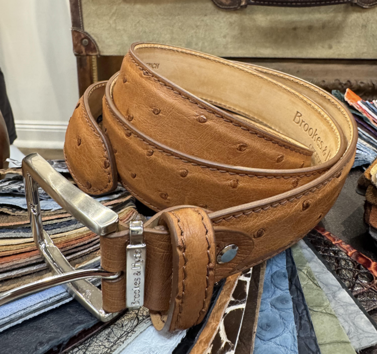 Brookes & Hyde Brookes & Hyde Quilled Ostrich Belt