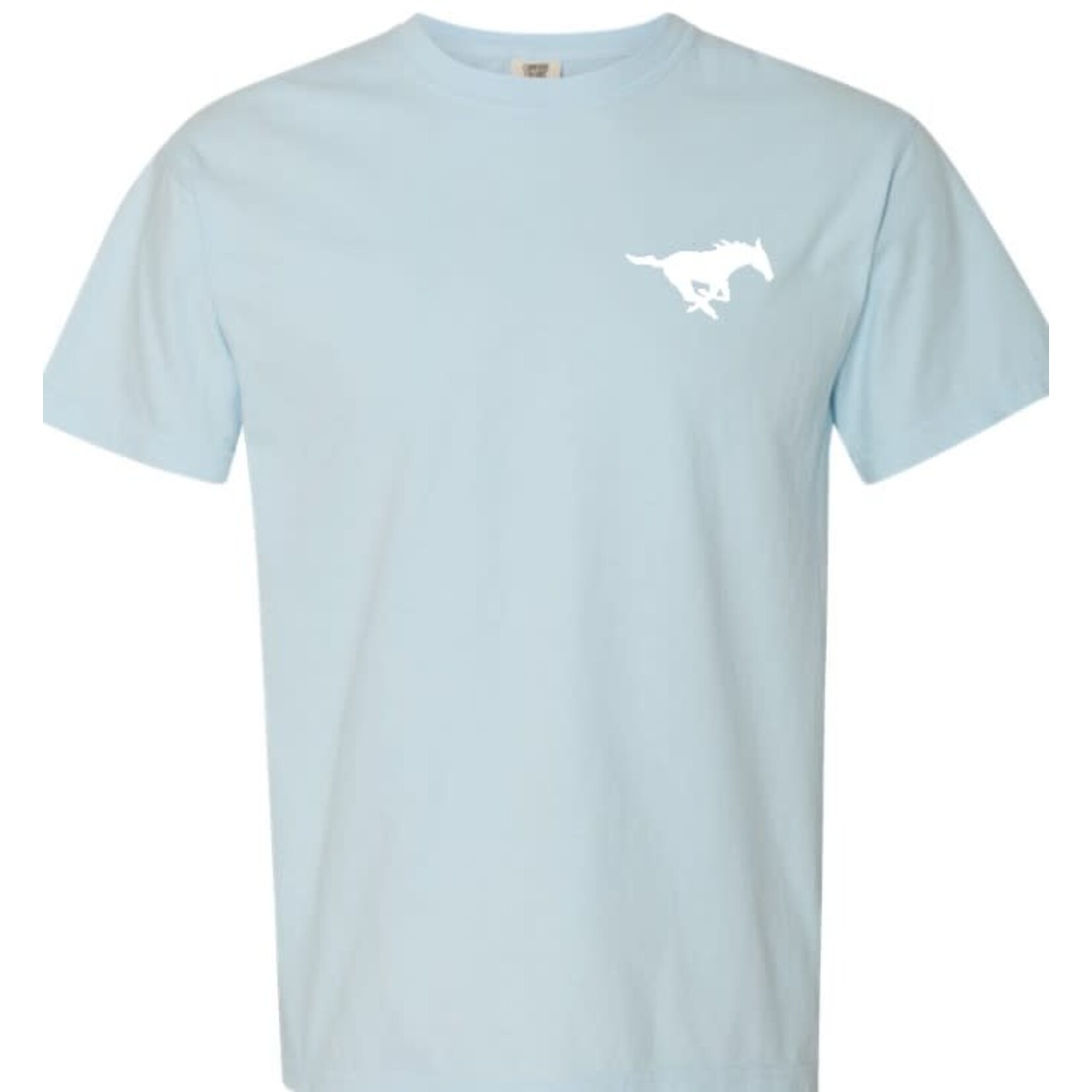 Comfort Colors "His Love Endures" T-shirt-ADULT