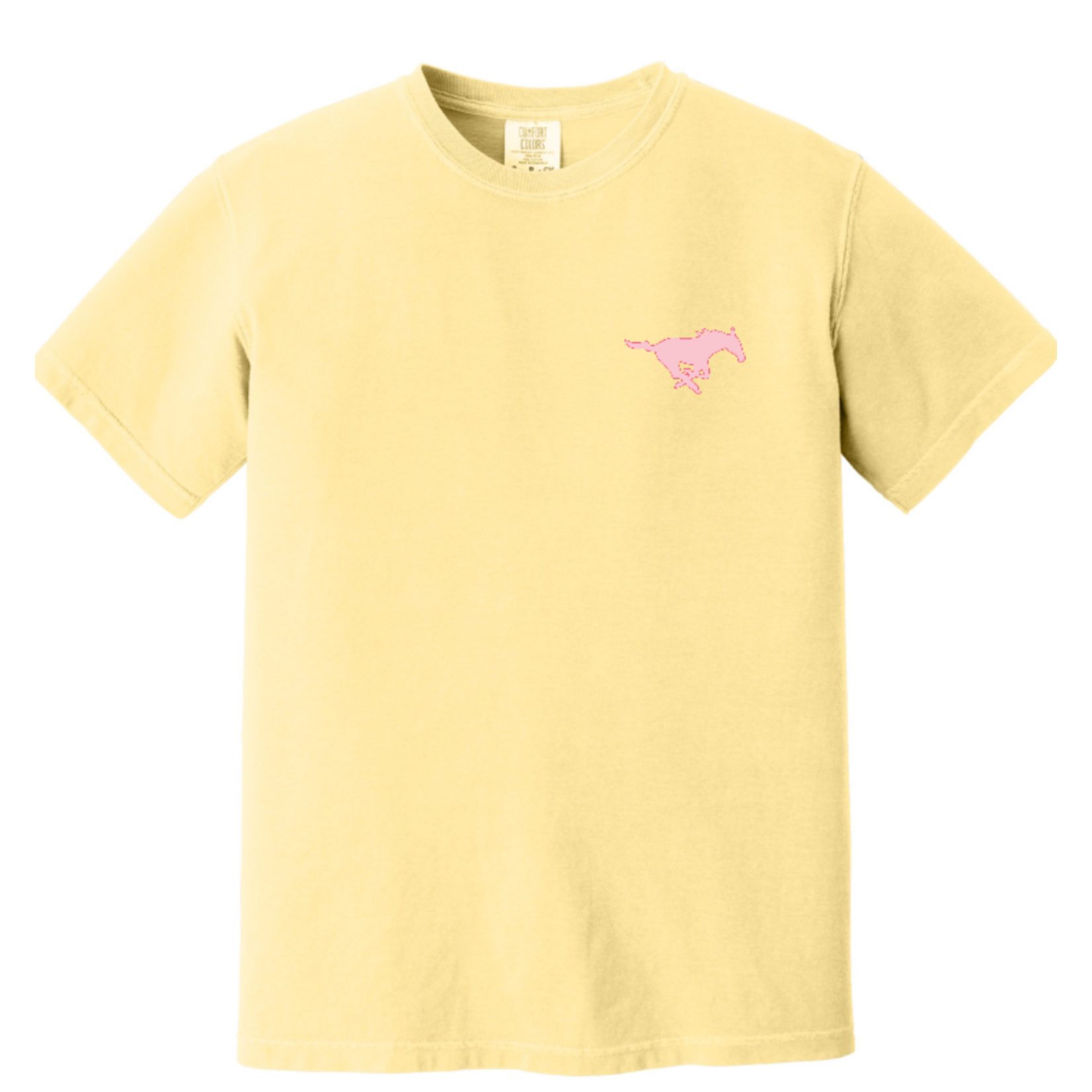 Comfort Colors GRACE AND TRUTH-YOUTH