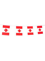 WRB GIFTS CANADIAN PENNANT BANNER 16.5'