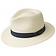 Bailey of Hollywood Brooks Panama Fedora, Bailey