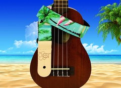 Folk Instrument Straps