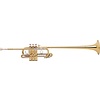 Bach B185 Stradivarius Professional Bb Triumphal Trumpet, Standard Finish