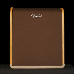 Fender Acoustic Guitar Amplifiers