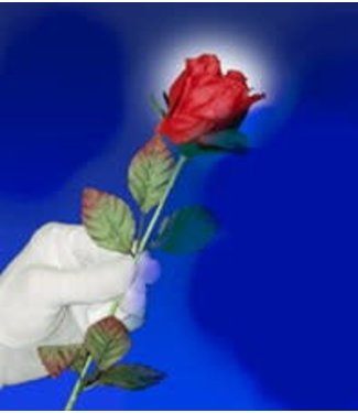 A Rose For You by The Essel Magic w M10