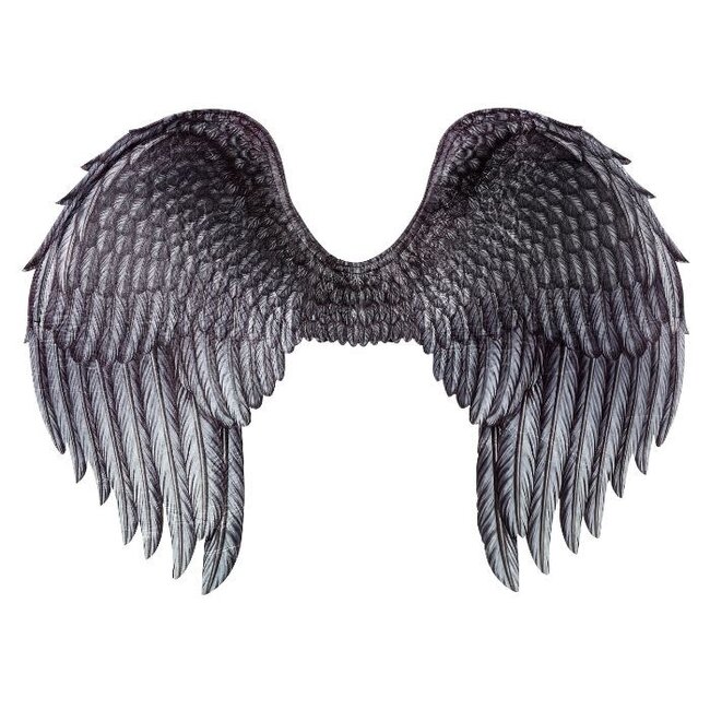 Forum Novelties Dark Angel Wings, Printed by Forum Novelties