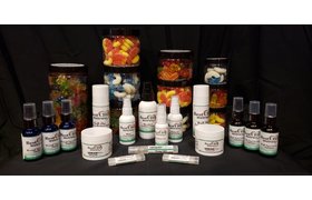 Best CBD Wellness