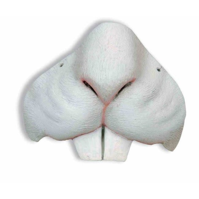 Rabbit Nose Mini Mask