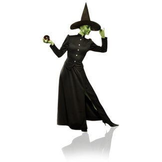 Classic Witch Adult Medium by Costume Culture By Franco LLC