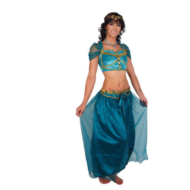 Deluxe Harem Pants genie belly dancer adult womens Halloween costume