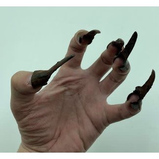 Rubies Costume Company Black  Clip On Vampire  Fingernails with Removable Blood Coating