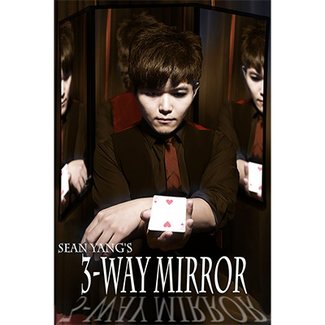 3-Way Mirror / Close-Up Mat by Sean Yang from Magic Soul(M9)