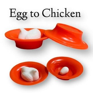 Egg To Chicken
