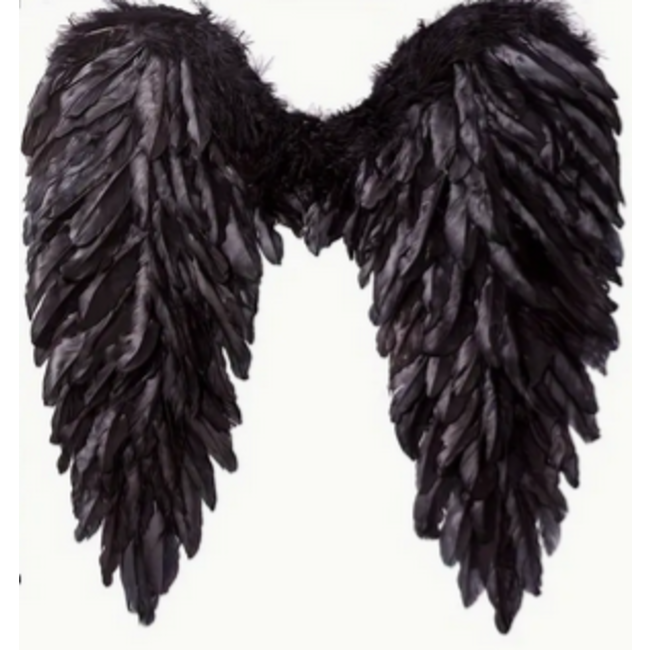 Feather Wings, Black - 16.9 H x 16.54 W inches