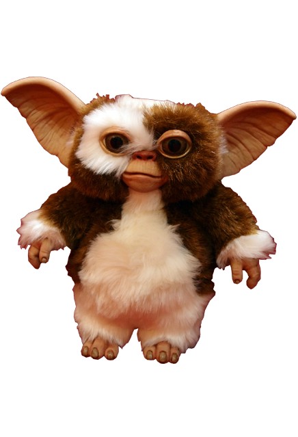 Gizmo Puppet From Gremlins - Ronjo Magic, Costumes and 