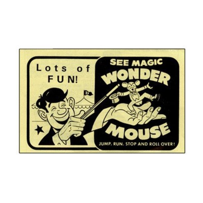 Wonder Mouse  by Fun Inc. (M10)