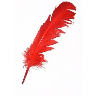 Indian Feather Red
