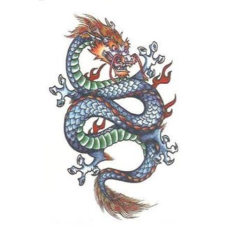 Fantasy Dragon Temporary Tattoos by Johnson And Mayer