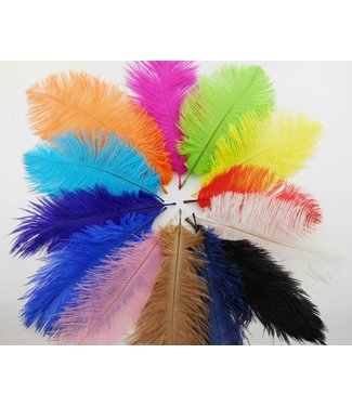 Feather Plume Orange by SA Feathers