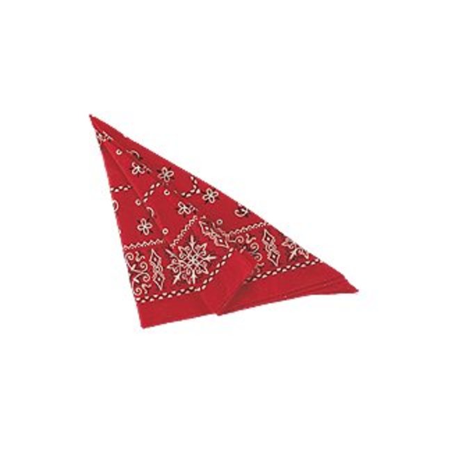 Forum Novelties Bandana Red  (C13)