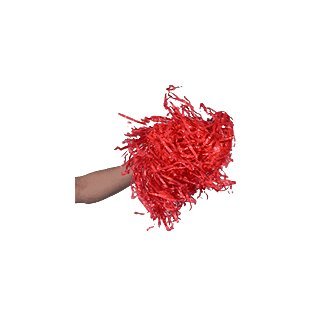 Forum Novelties Cheer Leader Pom Poms - Red (C14)