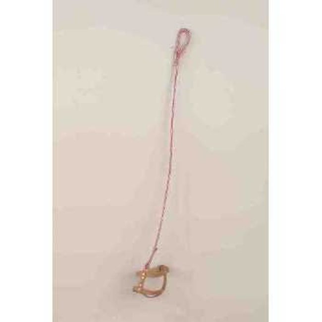 Imaginary hot sale dog leash