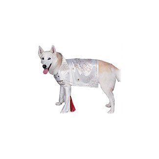 Rubies Costume Company Rock Superstar Dog - Pet Costumes LG