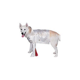 Rubies Costume Company Rock Superstar Dog - Pet Costumes sm