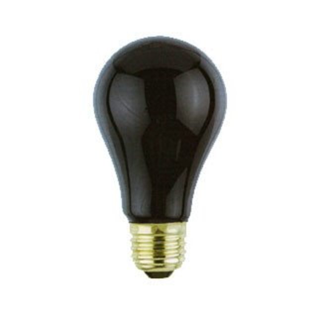 Black Light Bulb by Loftus International