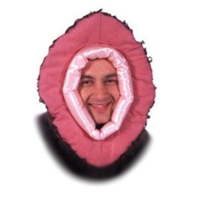 Big Pink Costume, Vagina Costume