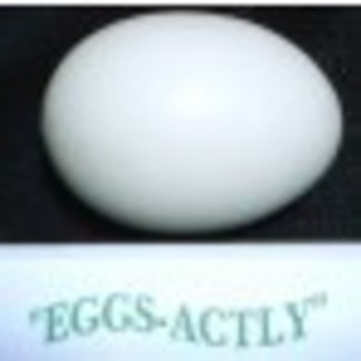 Eggsactly Egg - Small Solid Egg and Tirofog, Inc. M5