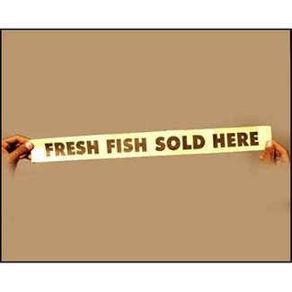 Fresh Fish Sold Here - India (M10)
