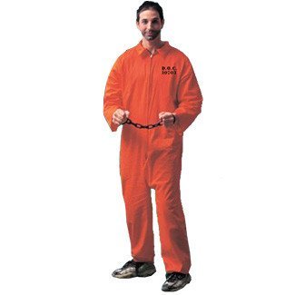 Forum Novelties Jailbird Adult Standard