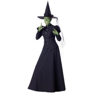 InCharacter Wicked Witch Adult Extra Large Costume by InCharacter