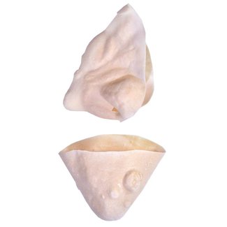 Morris Costumes and Lacey Fashions Witch Nose And Chin Kit