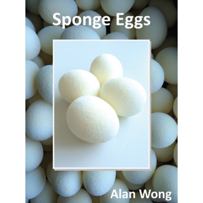 Sponge Eggs, 4 Pack by Alan Wong