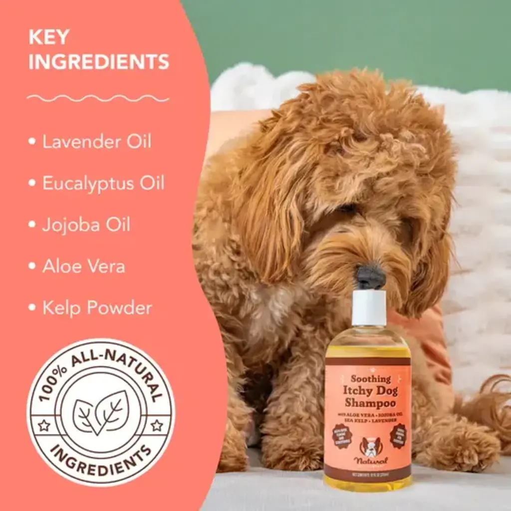 The Natural Dog Company Itchy Dog Liquid Shampoo