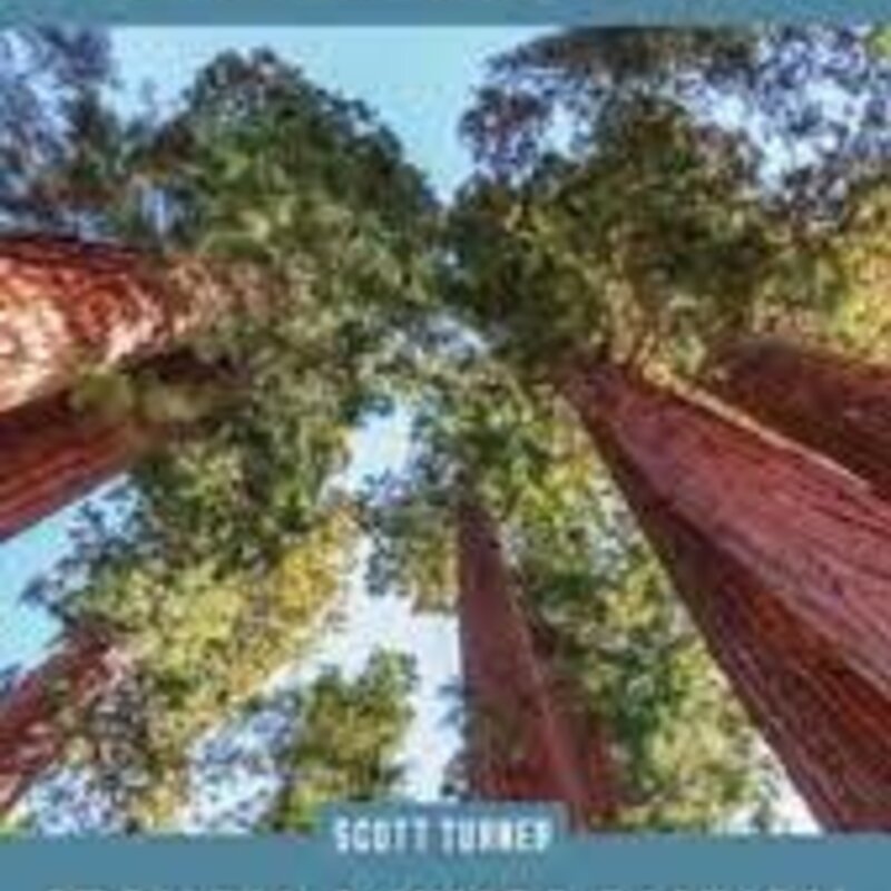 MOUNTAINEERS BOOKS Hike the Parks: Sequoia & Kings Canyon National Parks